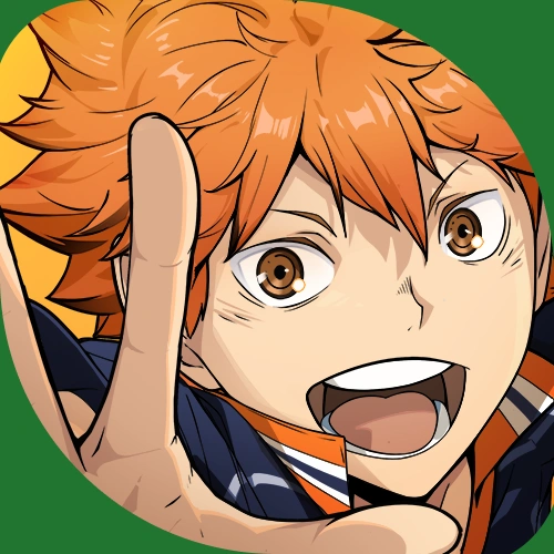 Haikyu Fly High